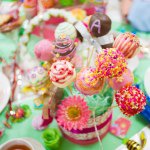 928640_1563048813925740_2058056499_a