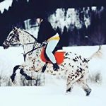 12407214_906253742822441_1756990446_a