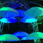 11084912_934393459945982_1176986694_a