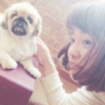 11378838_1672475942973267_1333565808_a