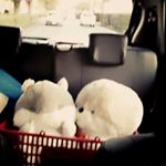 12331858_835866006526370_1235092791_a