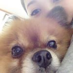 11881665_706775132791868_1488730577_a