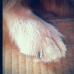 11189482_1466946863596047_1728523550_a