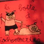 11376523_1660154134217870_1664690830_a