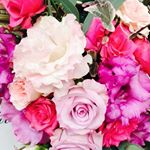 12063047_463954107139645_2145385537_a