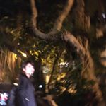 12534210_1100408543310868_116921609_a