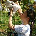 11925680_758849024243185_1025752879_a