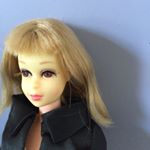 12354045_1696884657250459_1474024250_a