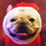 11353027_935330796527562_1375862852_a