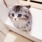 12545246_979202495524401_2014961263_a