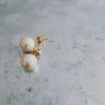 12338729_173944219626360_1286933673_a