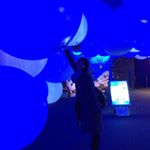 12407448_785848598187758_700627481_a