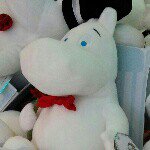 10802757_310636192477983_938597429_a