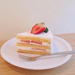 12534377_1072645946113071_75573049_a