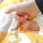 12144029_1638397313082183_1305373482_a