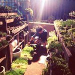 11355873_1457279274564530_1096134528_a