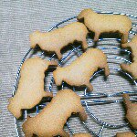 11325782_750717548383654_1510531899_a