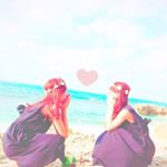 12502029_743987095732469_806016435_a