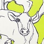 12328153_1658447484395056_1048714878_a