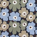 10727759_1668041173467447_94997832_a