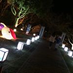 12407343_817545678368495_1034886937_a