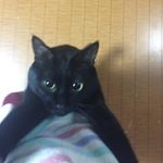 12530760_957614770983059_961973908_a