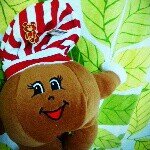 11380077_706472309485472_926169456_a