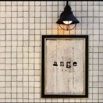 10932573_1597281443848565_502845179_a