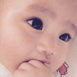 11421979_1658091221081638_1885881897_a