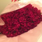 12479332_1732096343680722_1779234960_a