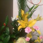 917512_1124958650850343_337964348_a