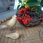 10012512_541366062693536_6958119_a