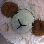 10632062_1533437630222625_1841758284_a