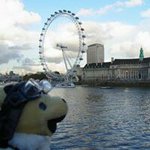 11251036_1007605072606388_902569362_a