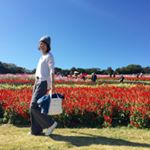 12106194_1641058462802575_1042192885_a