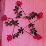 12545542_638863946256182_700724969_a