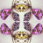 10684324_727605377327501_1990568711_a