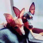 12479258_804014443037000_1308961392_a