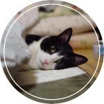 11899461_988426904551153_1933026900_a