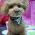 10326393_1884126475146022_1625725699_a