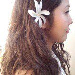 11049162_773600282716705_1112318791_a