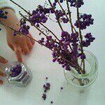 10891080_1374466349527174_1432249073_a