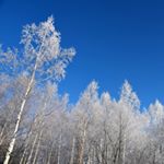 12552416_1082759861767246_1254740548_a