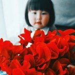 11417399_414198922105436_1725515801_a