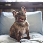 11849148_974193509311786_1413425999_a