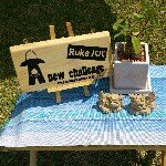 10431748_1465703020338247_292396196_a