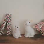 926722_1501476290158164_812389155_a