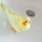 12558664_1656473967957014_1616966045_a