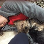 12479265_1711115272439734_202868898_a