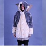 12501754_537351593104750_1662143228_a